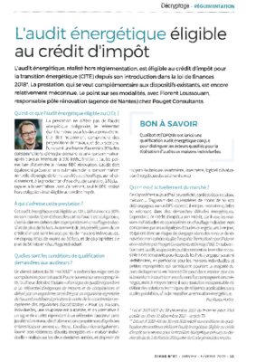 Article Dimag_CITE audit